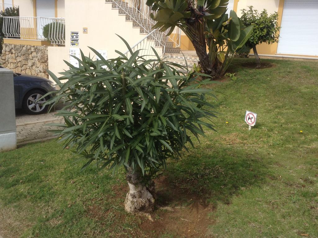 Votre Appartement A Portimao *